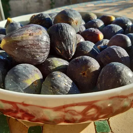 Mas Luis Alvarez Apartmán *