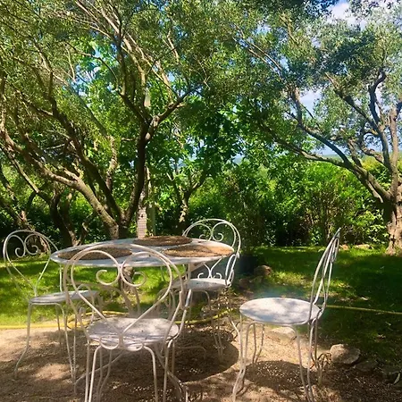 Mas Luis Alvarez * La Capelle-et-Masmolene