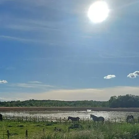 Mas Luis Alvarez * La Capelle-et-Masmolene