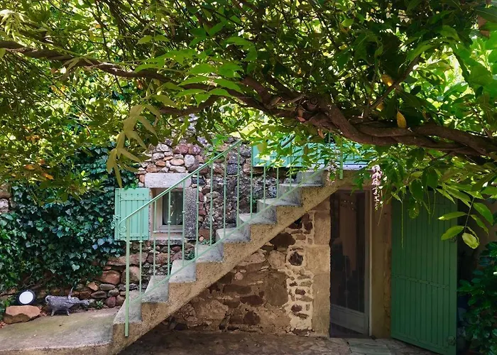 Mas Luis Alvarez La Capelle-et-Masmolene