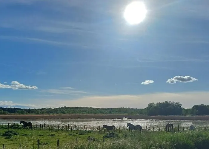 Mas Luis Alvarez * La Capelle-et-Masmolene